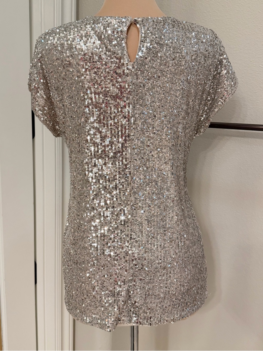 Cable & Gauge Champagne Sequin Short Sleeve Top Medium NWOT Lined - Picture 5 of 9